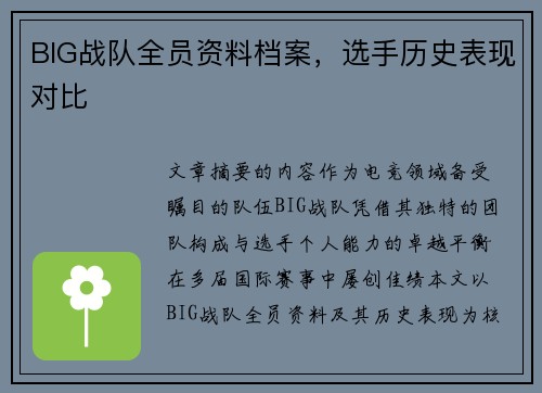 BIG战队全员资料档案，选手历史表现对比