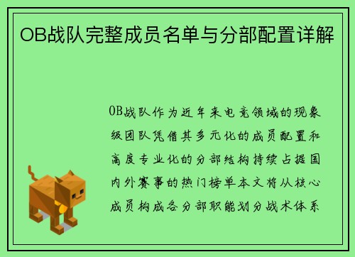 OB战队完整成员名单与分部配置详解